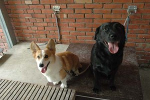 1380945125-2091261088