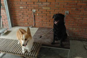 1380945125-3302172854