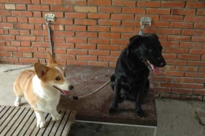 1380945126-2599498312