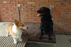 1380945126-508763639