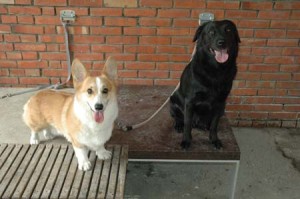 1380945127-2698824303