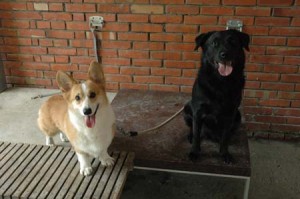 1380945127-2701476618