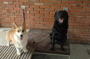 1380945127-846592437