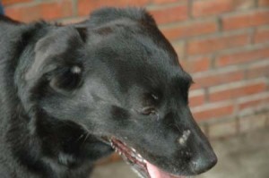 1380945128-1824993822