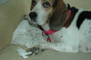 1380945129-1341661113