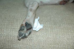 1380945129-4073951333