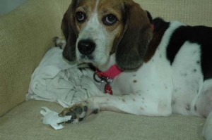 1380945130-2926834860