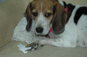 1380945130-3904785705