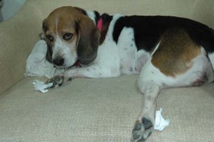 1380945131-1143929265