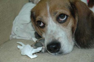 1380945132-477240080