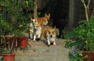 1380945140-3073399475