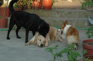 1380945143-635432669