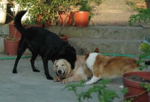 1380945143-751791791