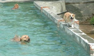 1380945148-2502192313