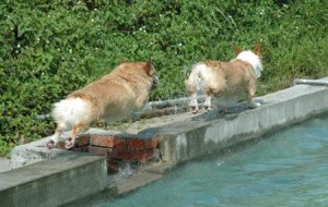 1380945148-3393268986