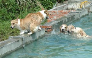 1380945149-1242556679