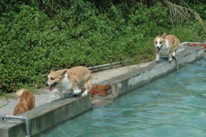 1380945149-1260616524