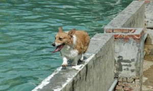 1380945149-2942591775