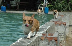 1380945150-2913905863