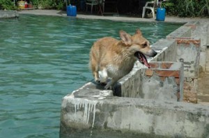 1380945151-1540798757