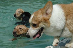 1380945151-3256318796