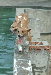 1380945152-3195838139