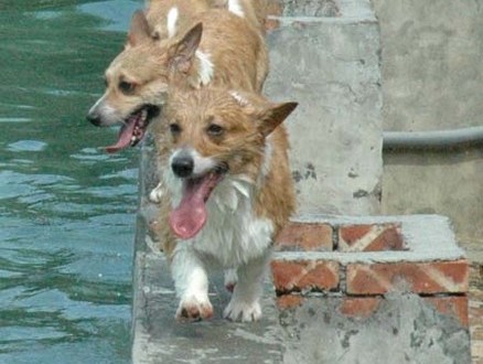 1380945152-3195838139