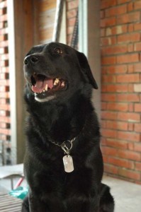 1380945152-4286692327