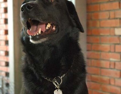 1380945152-4286692327