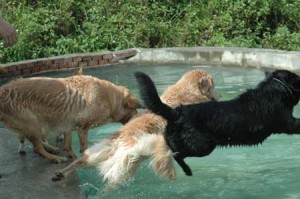 1380945153-2356486884