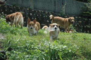 1380945154-1155749842