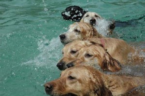 1380945154-3583160210