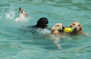 1380945154-4195449598