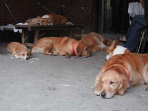 1380945155-1740330498