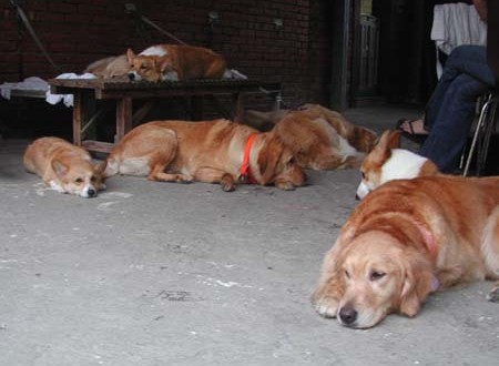 1380945155-1740330498