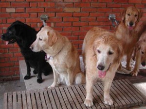 1380945155-3420209511