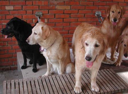 1380945155-3420209511