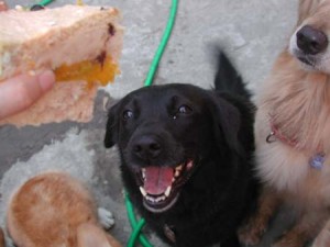 1380945156-3429895284