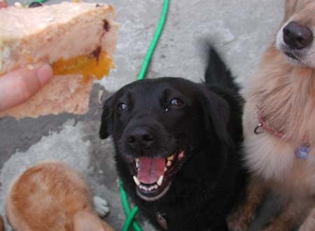 1380945156-3429895284