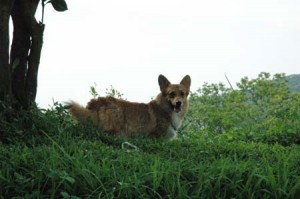 1380945157-2497240719