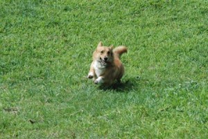 1380945157-3089272691