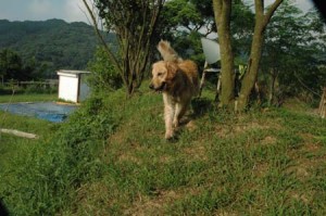 1380945157-3463930754