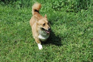 1380945158-1356590311