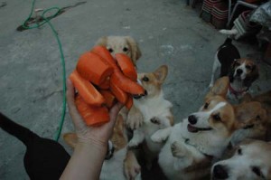 1380945160-1211257616