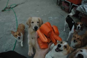 1380945160-402161688