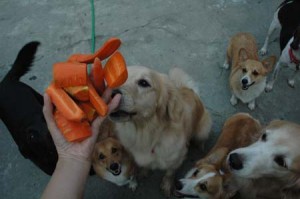 1380945161-2093658584