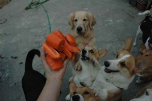 1380945161-2777785548