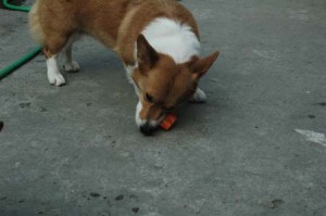 1380945161-3409507291