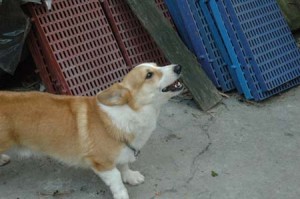 1380945162-3397420940