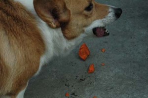 1380945163-1054593384